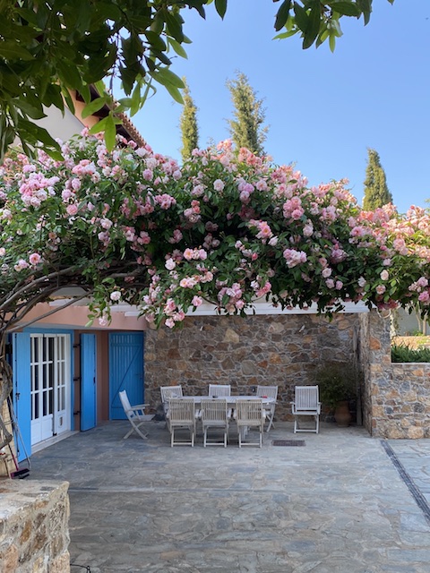 Pergola in spring