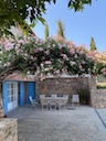 Pergola in spring